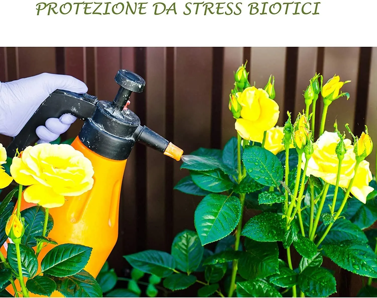 Bio A.L.T. Bio Acar insetticida timo spray 500 ml acari