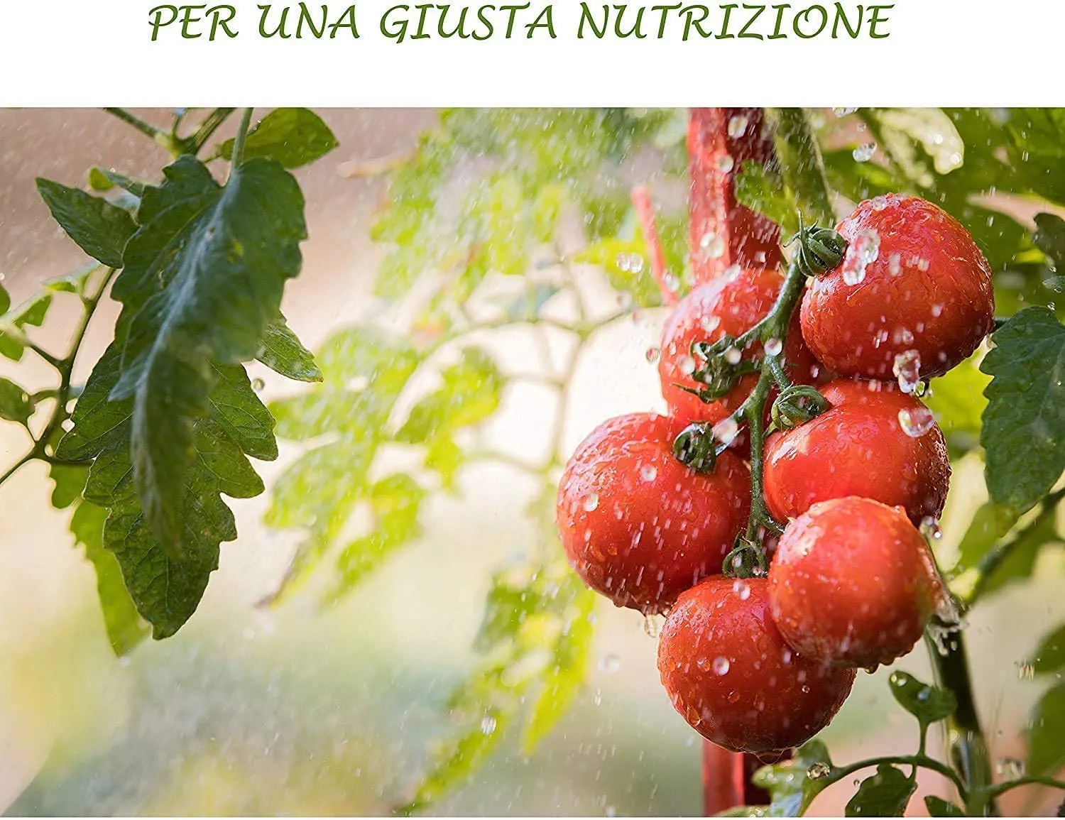 BIOALT Pitmag concime pomodoro 250 ml antimarciume