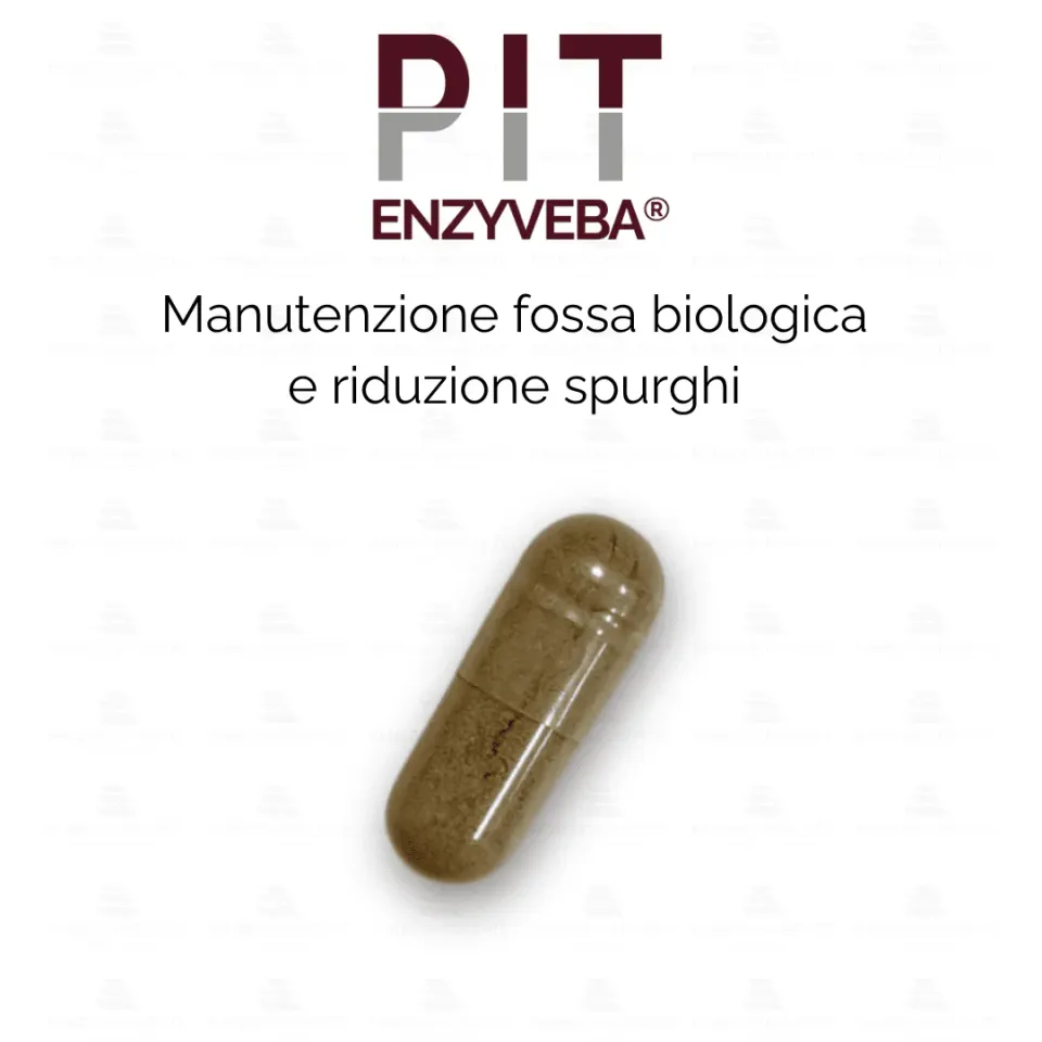 ZoLogik EnzyVeba PIT attivatore fosse 80 capsule