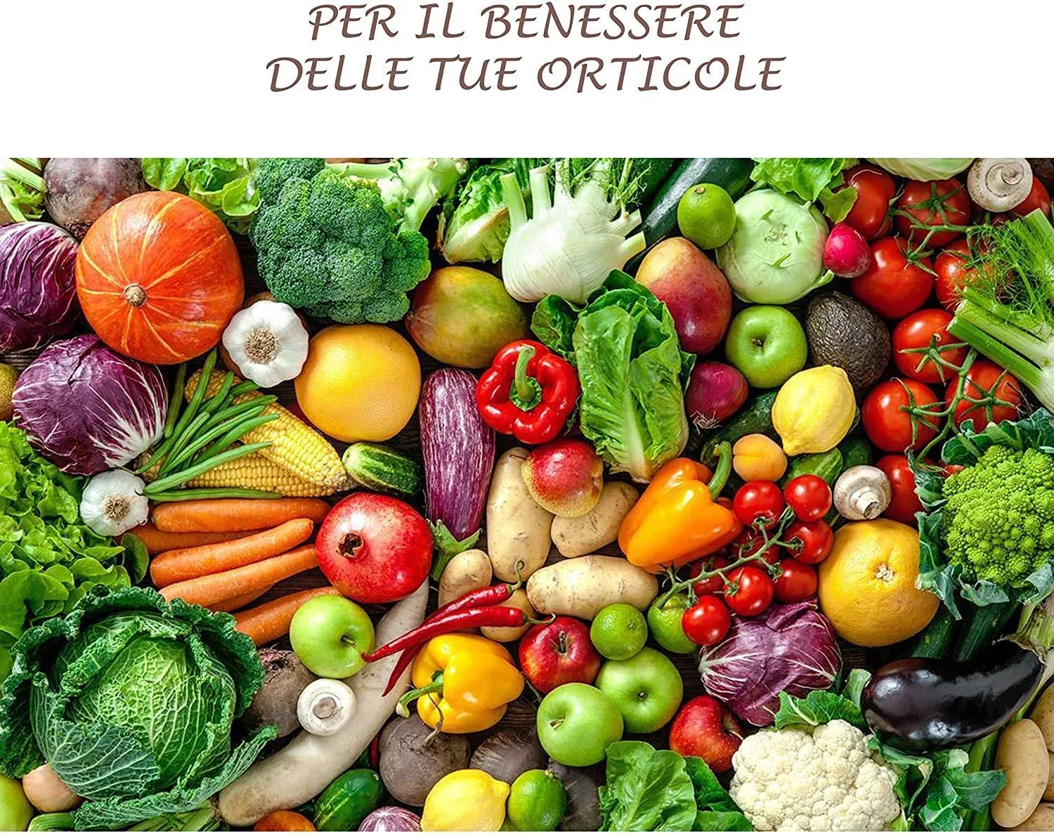 Bioalt Radice Bio concime radicale 1 litro naturale