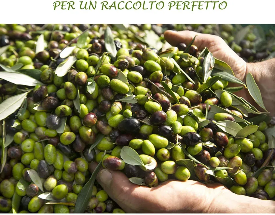 Bio A.L.T. Olivo Concime Liquido NPK 3 Litri Completo