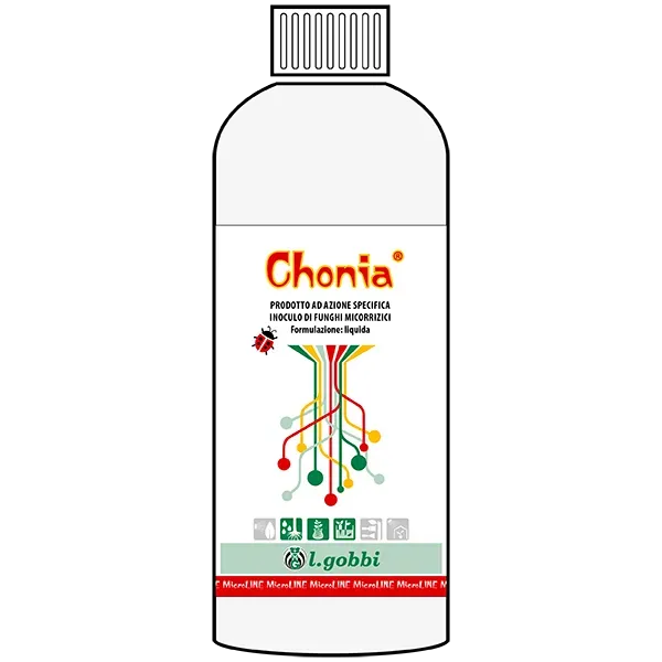 Lgobbi Chonia inoculo micorrizico radici verde intenso