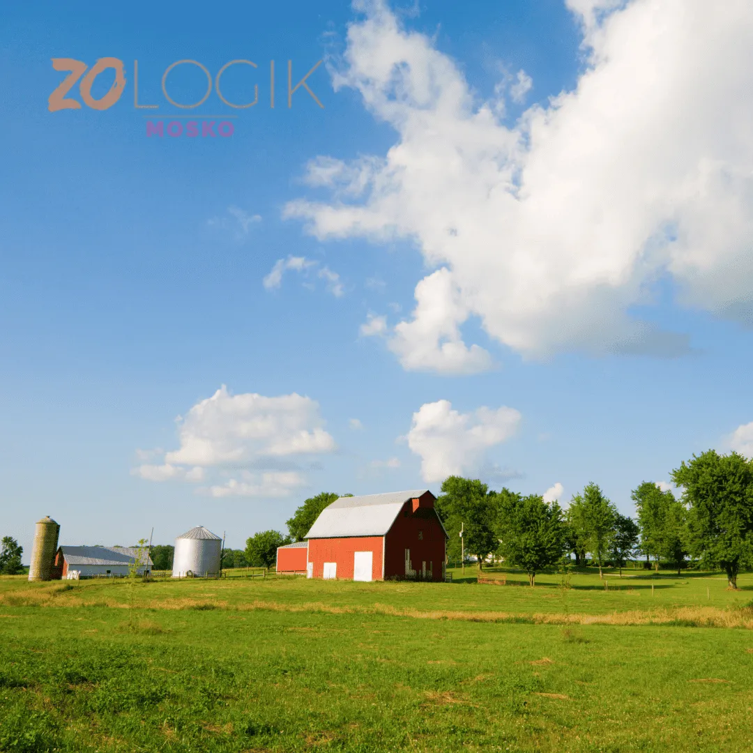 ZoLogik Mosko Repellente Mosche 500 ml Naturale