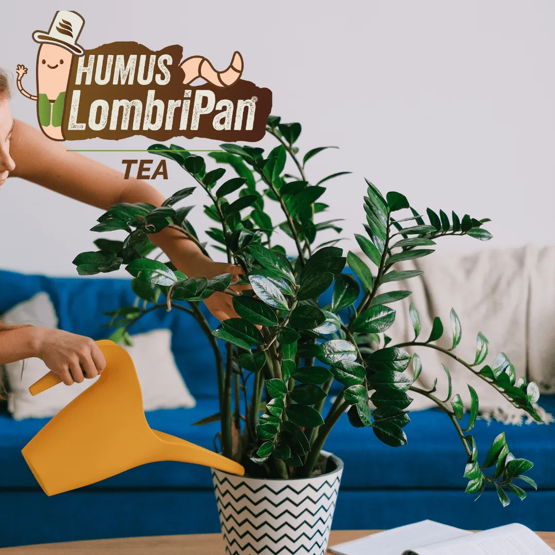 ZoLogik Humus LombriPan Tea humus 6 bustine 15g radicale