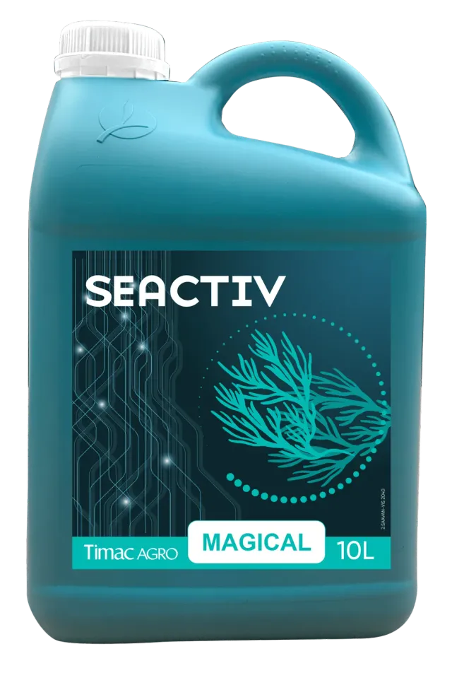 Vitalfit Seactiv Magical biostimolante naturale
