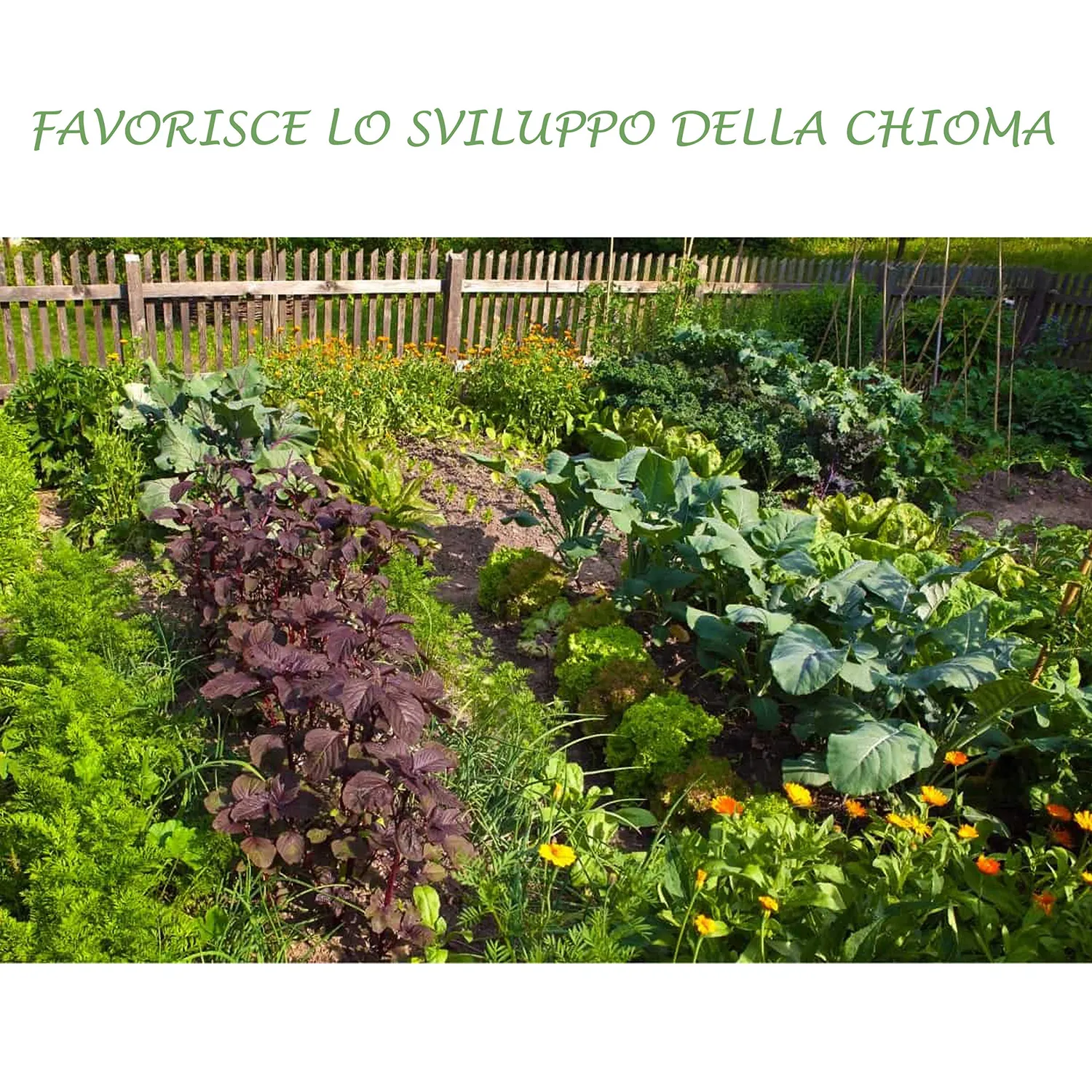 BIOALT Universale 20.20.20 concime NPK 1 kg fiori e frutti