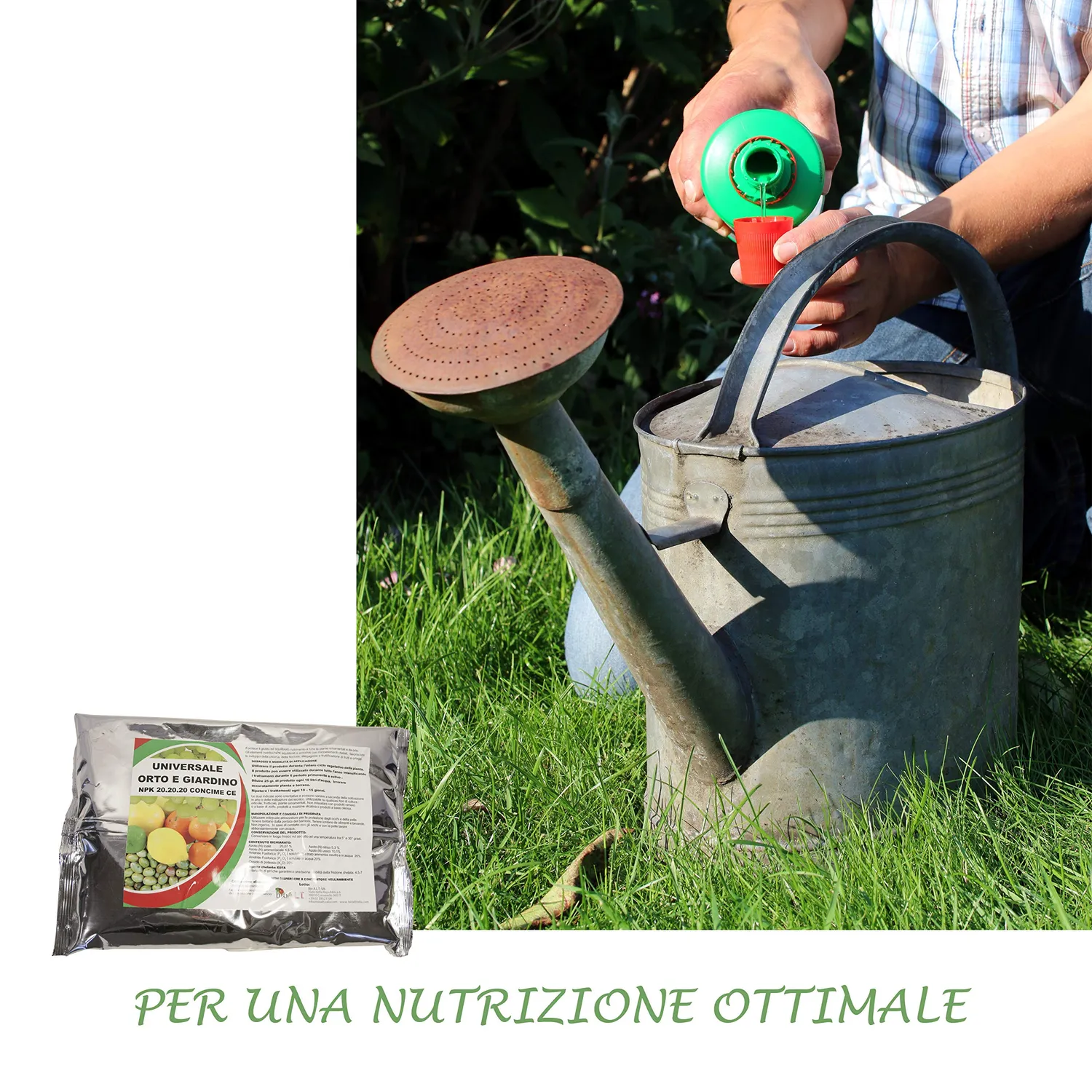 BIOALT Universale 20.20.20 concime NPK 1 kg fiori e frutti
