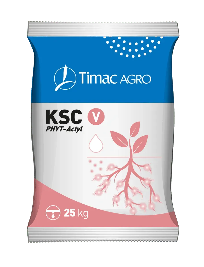 Vitalfit KSC V concime per orto e giardino