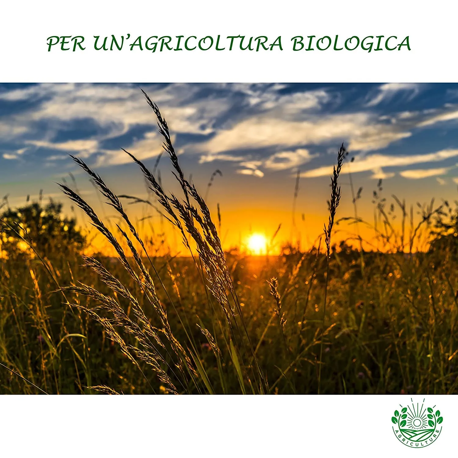 Bioalt Microelementi Chelati Concime 1 L ferro