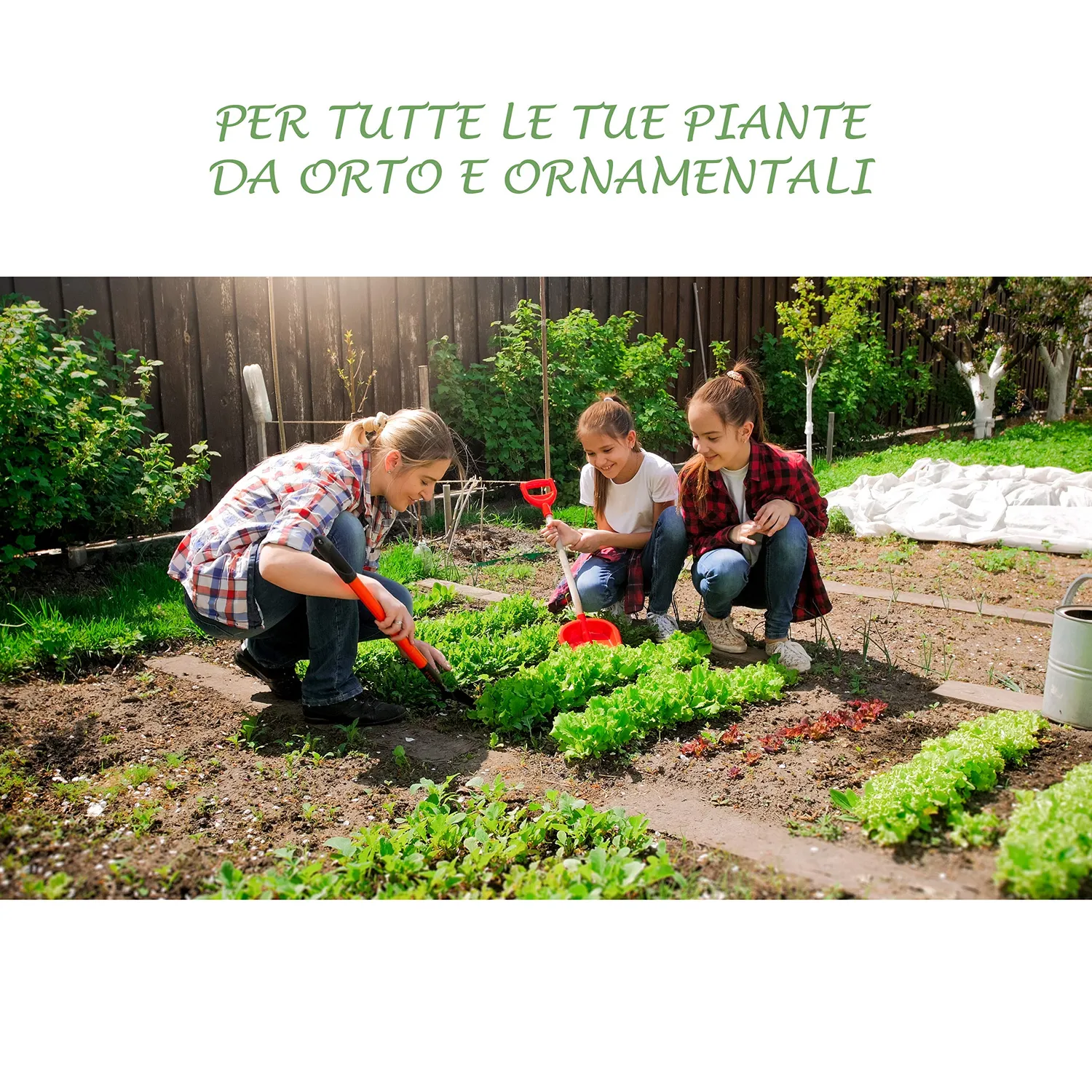 BIOALT Universale 20.20.20 concime NPK 1 kg fiori e frutti