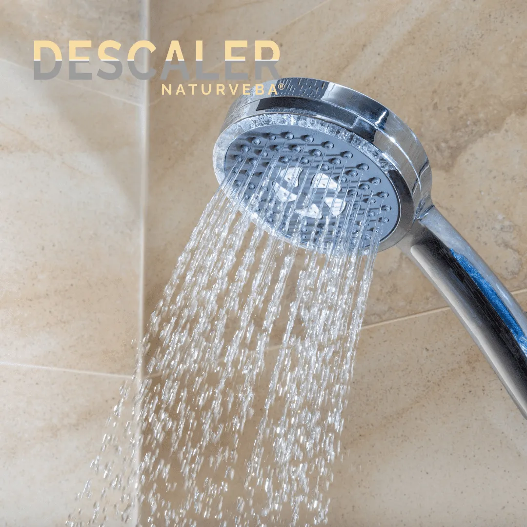 ZoLogik NaturVeba Descaler anticalcare 1L alimentare