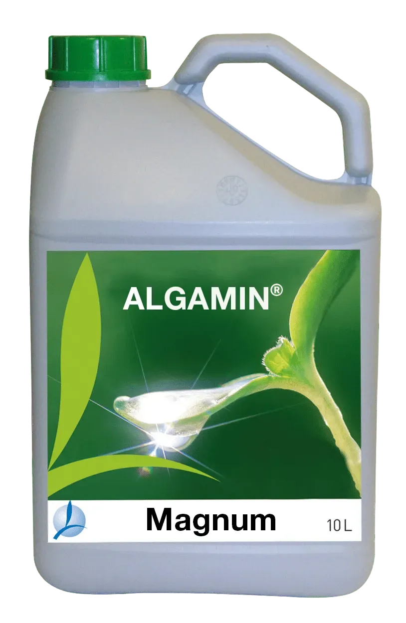 Vitalfit Algamin Magnum concime naturale di alghe