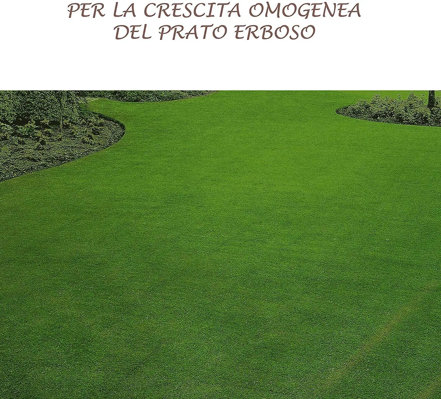 Bioalt Radice Bio concime radicale 1 litro naturale