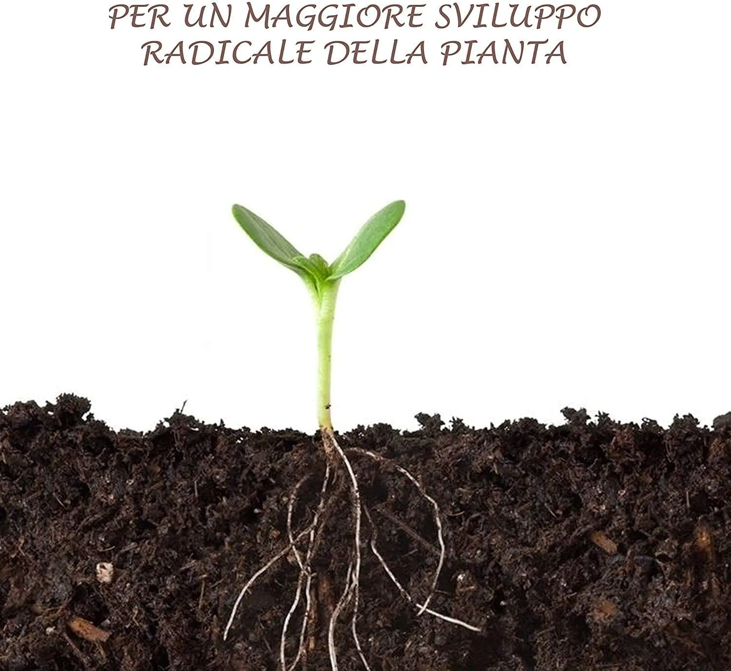 Bioalt Radice Bio concime radicale 1 litro naturale