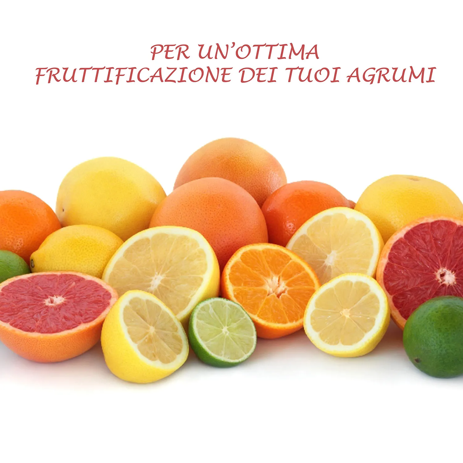 BIOALT Agrumi concime liquido limoni e aranci 250 ml