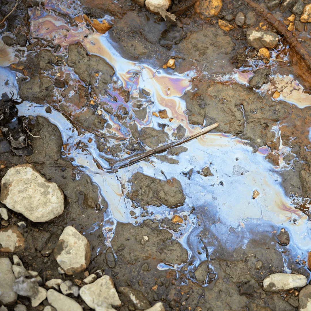 ZoLogik EnzyVeba Bioremediation biorimediatore terreni e acque