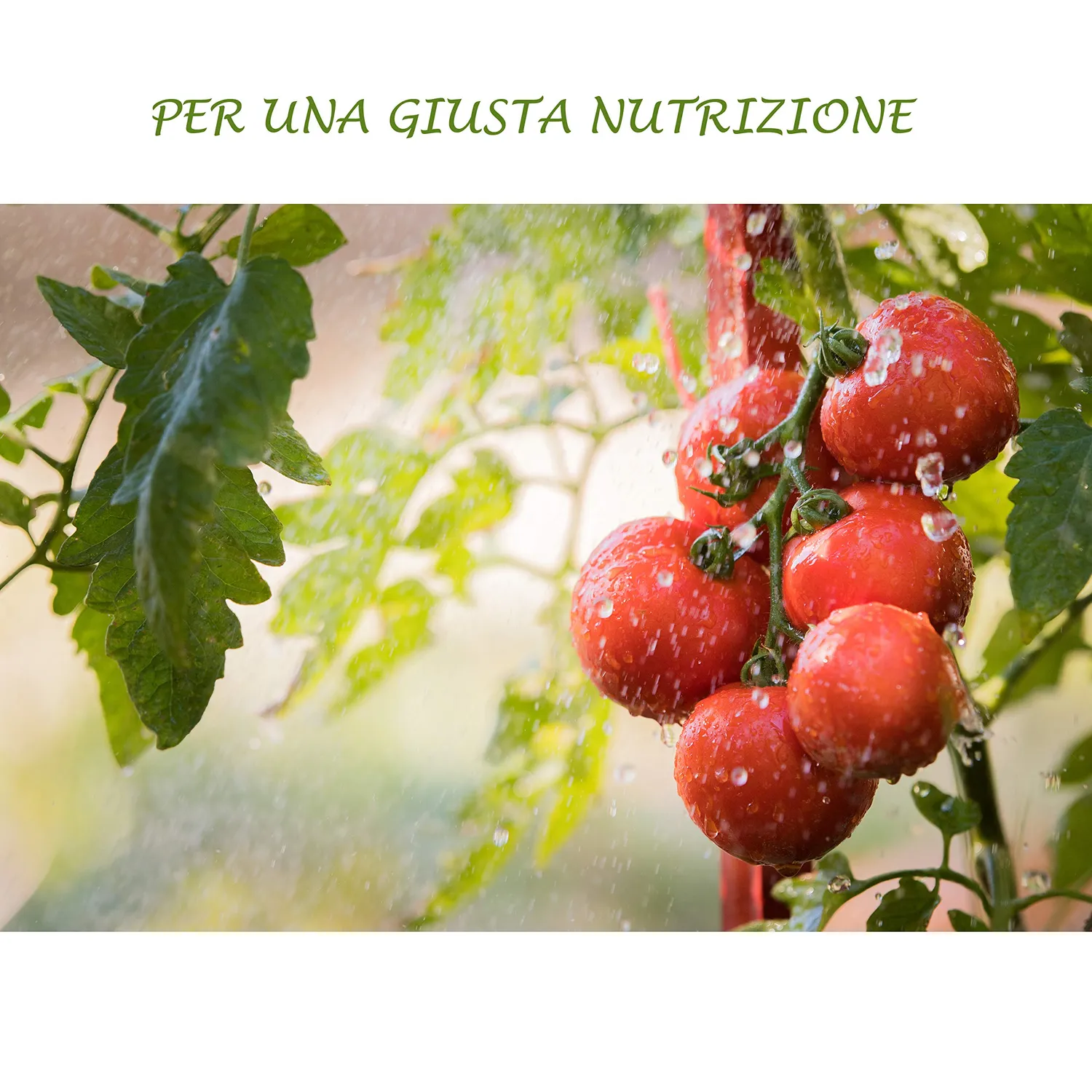 Bio A.L.T. Frutti Vari concime liquido 250 ml NPK