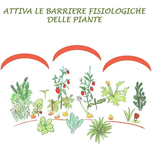 BioAlt Azul S-Cu concime rame e zolfo 1 L antifungino