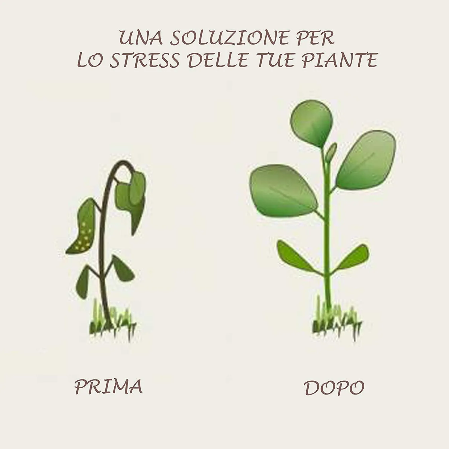 Bioalt Radice Bio concime radicale 1 litro naturale