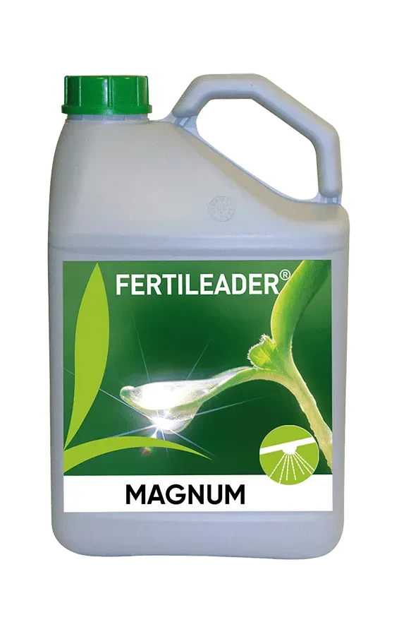Vitalfit Magnum concime ingrossamento frutti
