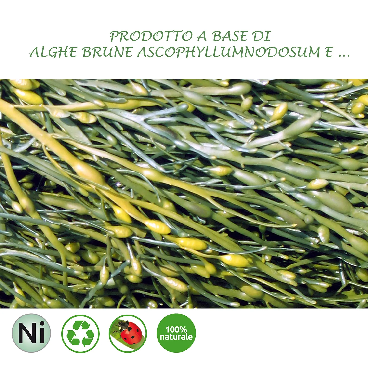 Bioalt Bioalgal Citrus Biostimolante 250 ml agrumi