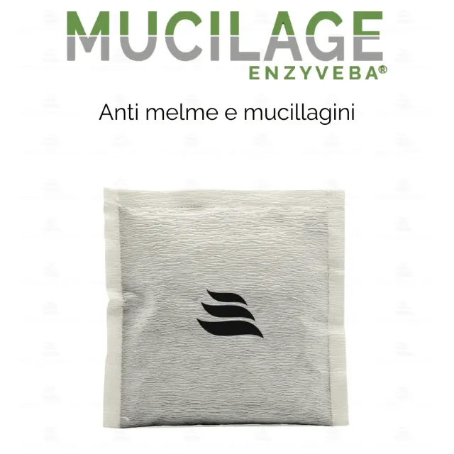 EnzyVeba Mucilage Solid polvere 70g anti mucillagini