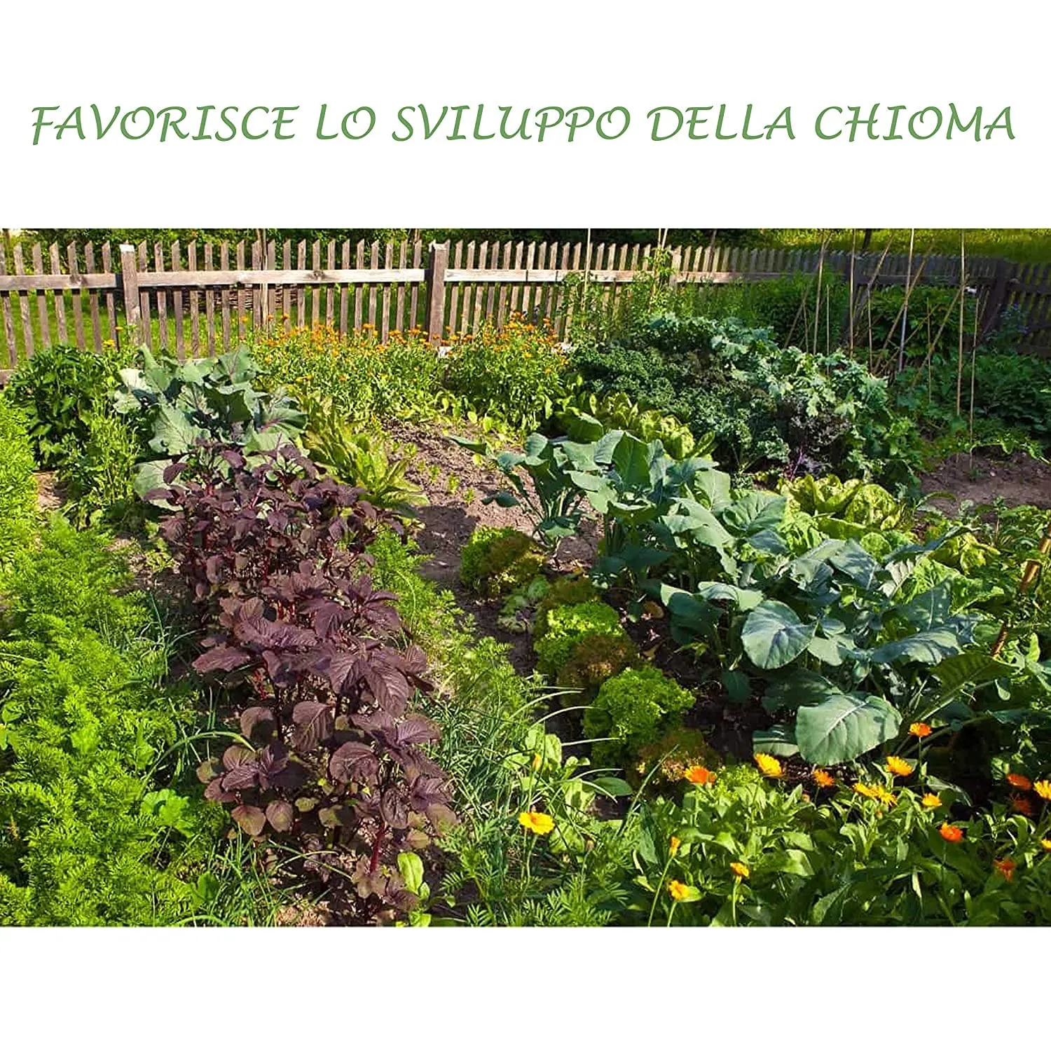 Bioalt Semina e Trapianto concime granulare 1 kg bio