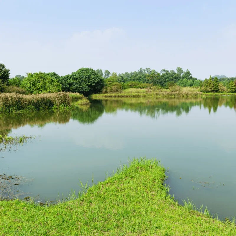 ZoLogik EnzyVeba Bioremediation biorimediatore terreni e acque
