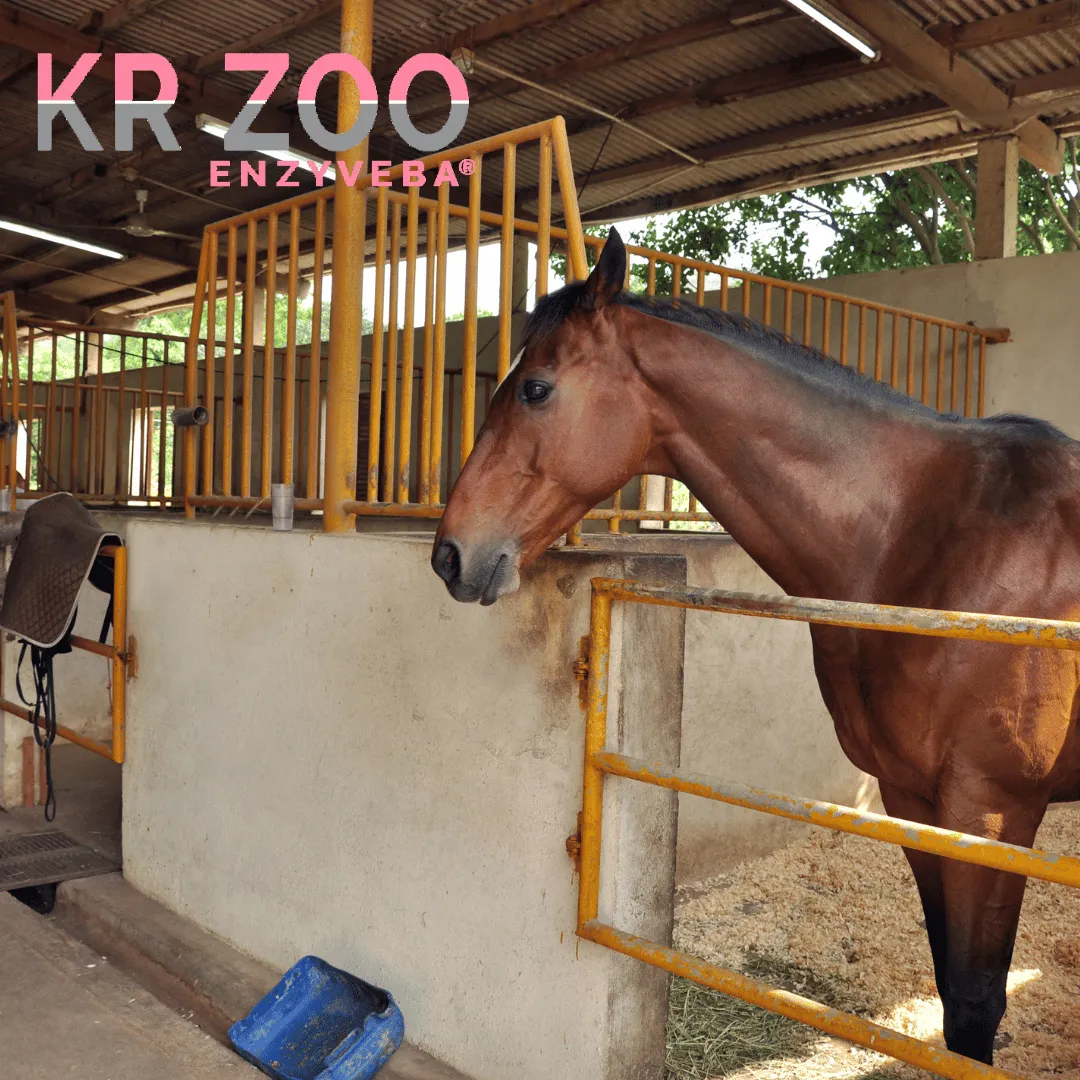 ZoLogik EnzyVeba KR Zoo neutralizzatore odori 5L BIO