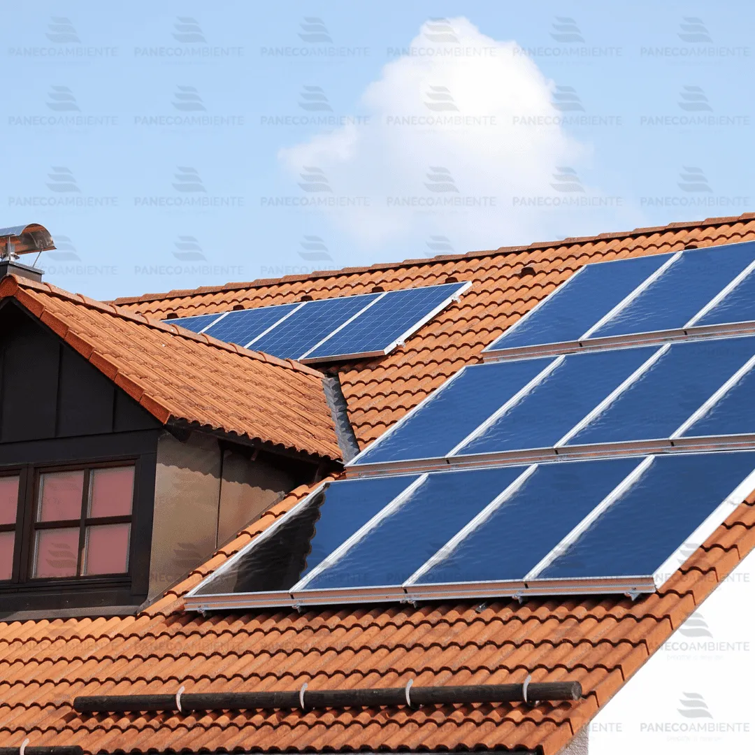 ZoLogik NaturVeba Solar detergente fotovoltaico 5L naturale